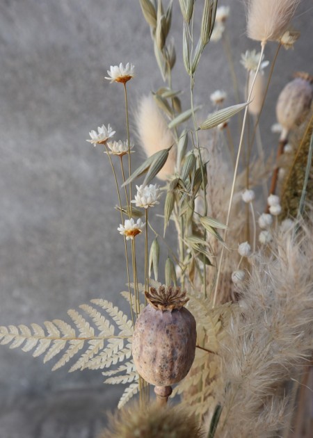 Atelier en collaboration avec Instants Images