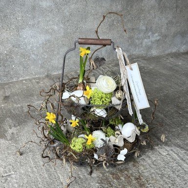 L'éveil du printemps